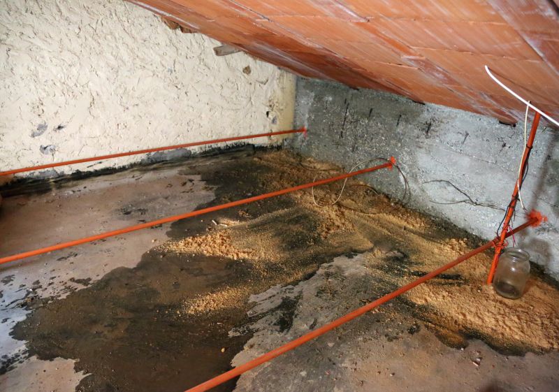 Bathroom Water Damage Repair in Denver County, CO
