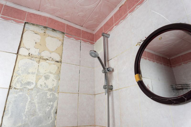 Bathroom Water Damage Repair in Conroe, TX