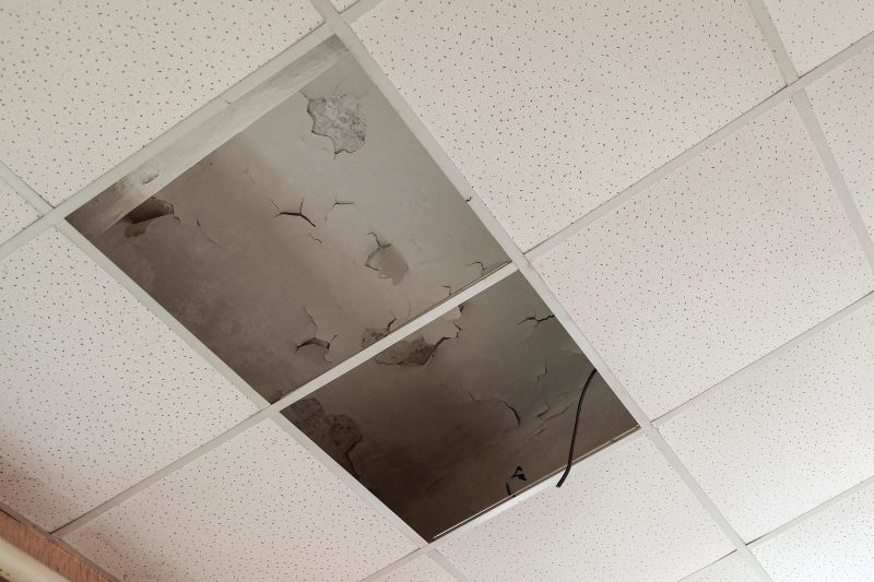 Ceiling Leak Repair Service in Charleston, SC