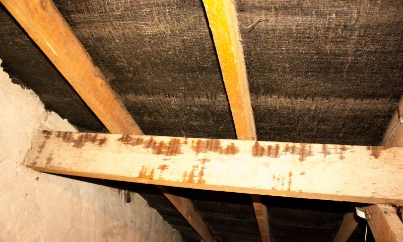 Leaking Ceiling Repair in Littleton, CO