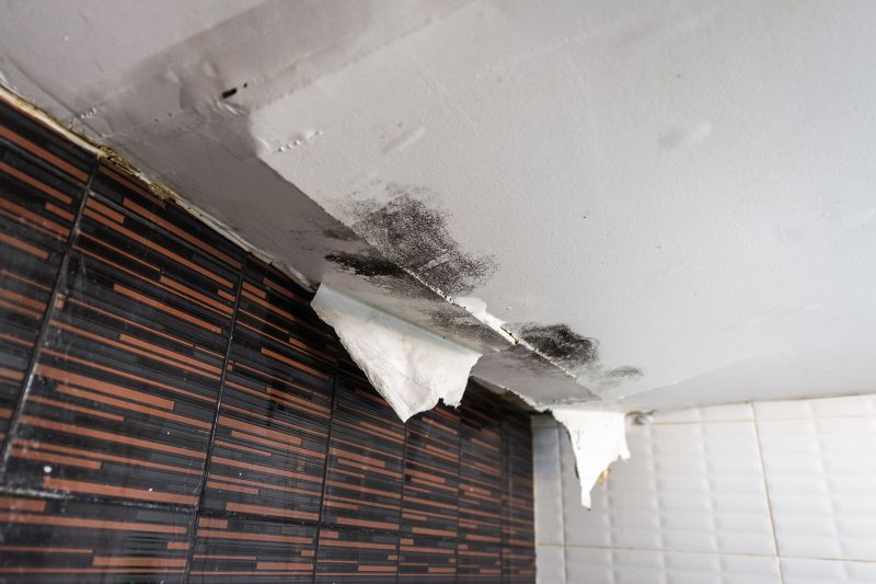 Ceiling Leak Repair Service in Santa Rosa, CA